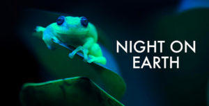 night-on-earth